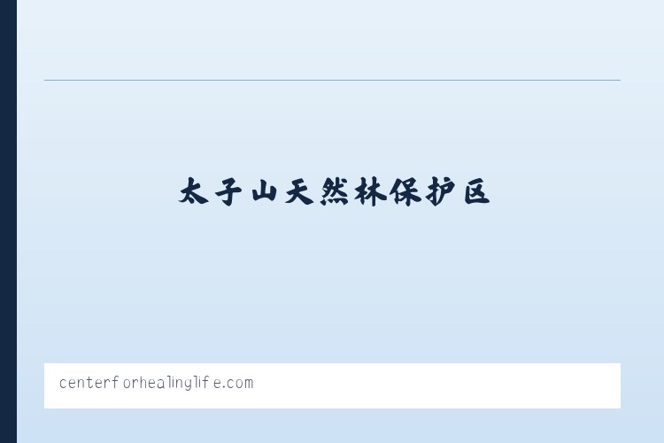 旱卡子滩哈萨克族乡 - Khelly Webb DC CCSP Center For Healing Life 列表图